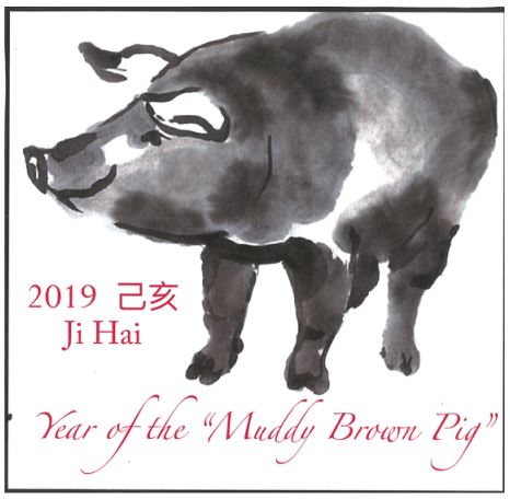 year-of-the-muddy-brown-pig