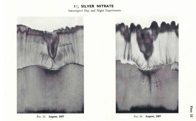 silver-nitrate-2