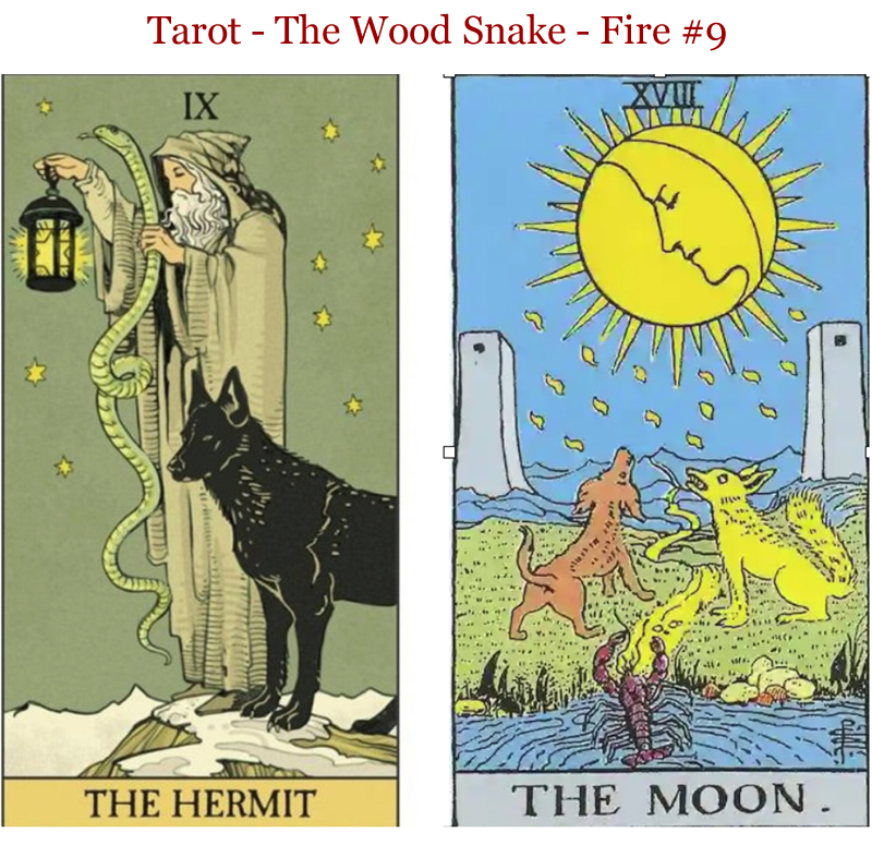 hermit moon